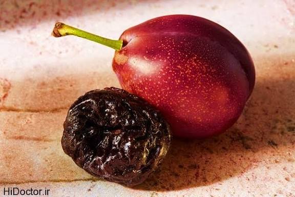 تصویر 4 از قیمت خرید الو بخارا درجه یک + خرید باورنکردنی